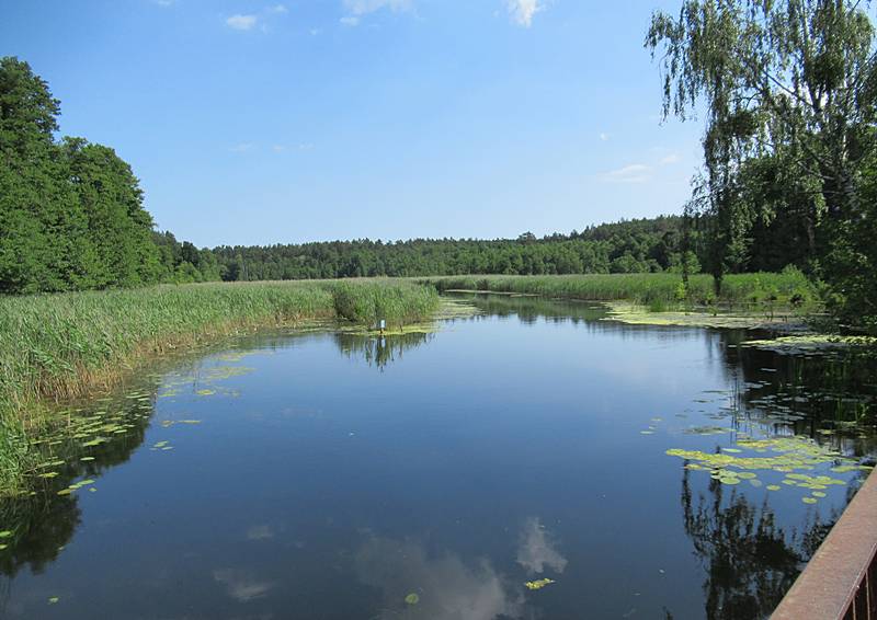 trip photo