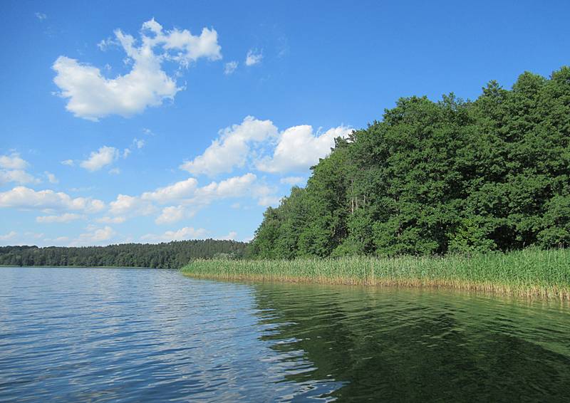 trip photo